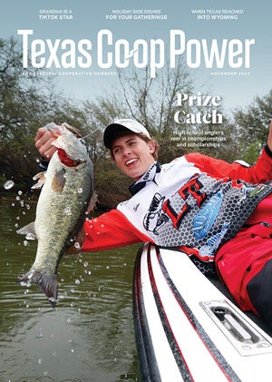 November Texas Co-op Power Magazine