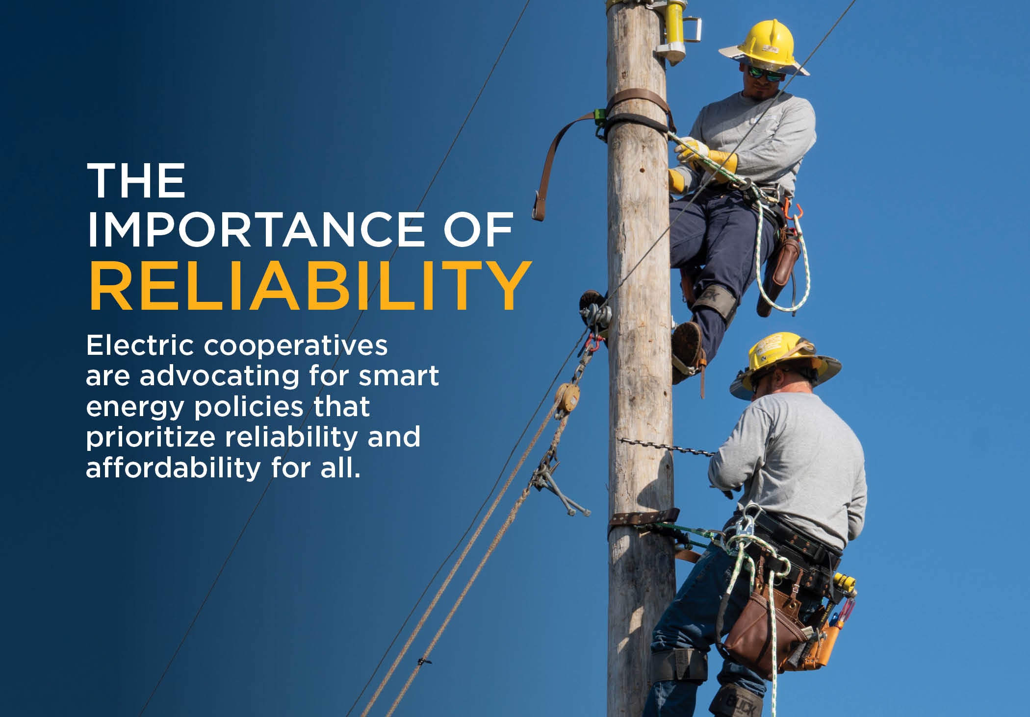 https://navarroec.com/sites/default/files/revslider/image/DS_PolicyMatters_Reliability%20Web.jpg